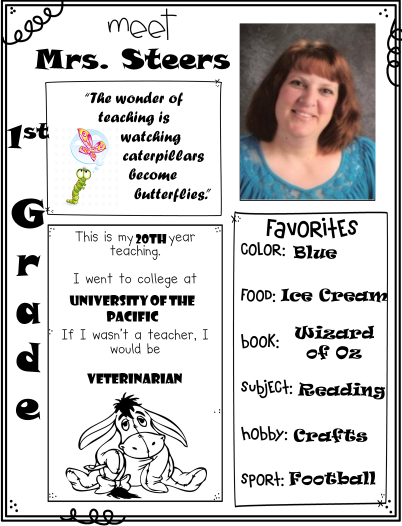 About the teacher 