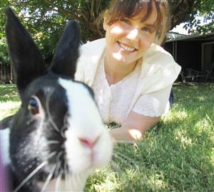 rabbit 