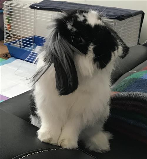 Alice hopes to see you, too!