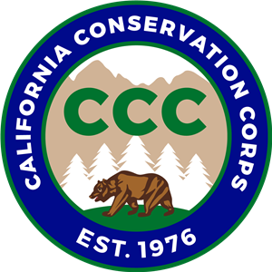 CACCC