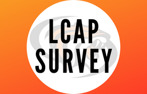  LCAP Survey