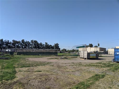 Phase 2 