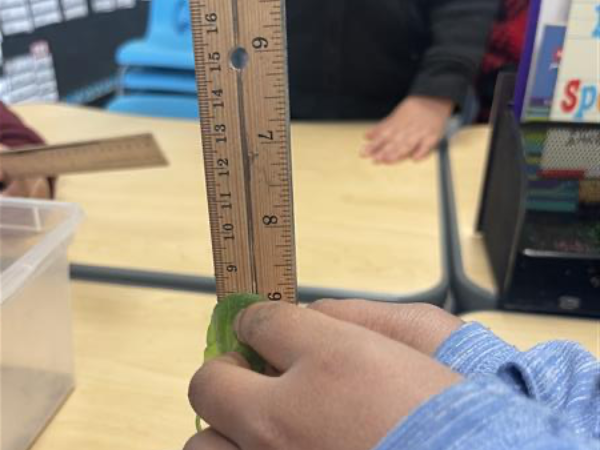 Class Science Experiment