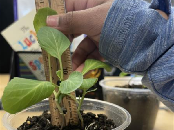 Class Science Experiment