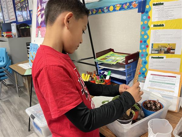Science Fair Experiment Continues